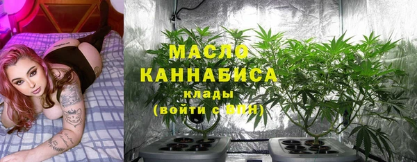 тгк Гусь-Хрустальный