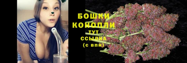 мяу мяу мука Гусев