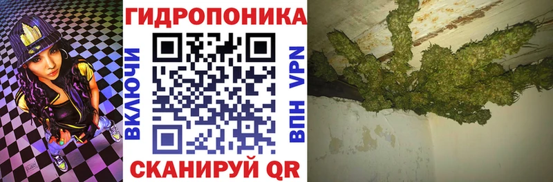 Бошки марихуана Bruce Banner  дарнет шоп  Ангарск 